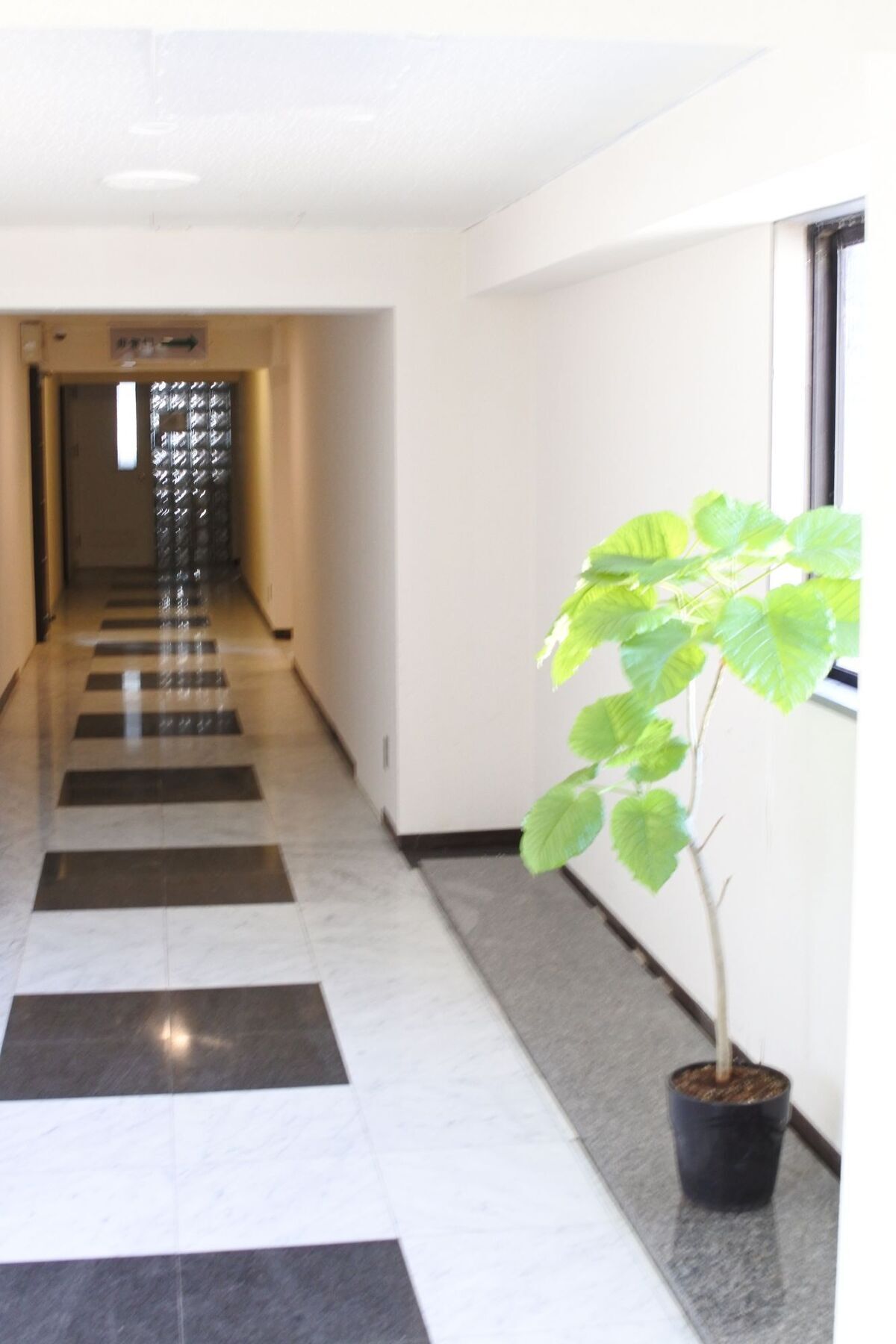 Kagoshima Guest House M104 - Hostel Екстериор снимка